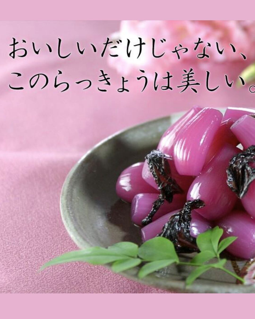 霧島らっきょう しそ風味