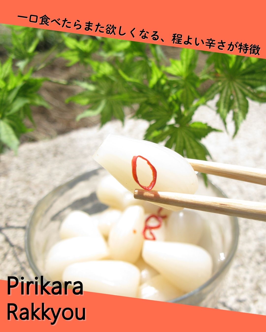 【送料当社負担】甘酢 80g×3枚 ピリ辛80g×2枚セット