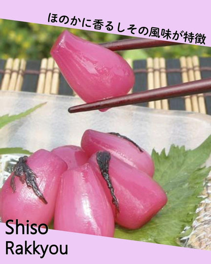 霧島らっきょう しそ風味