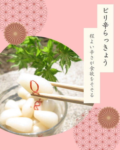 【送料当社負担】霧島ピリ辛らっきょう 80g×5枚セット