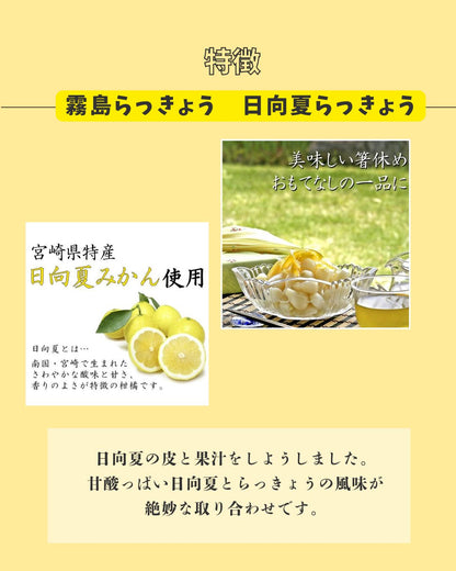 霧島らっきょう　日向夏みかん風味
