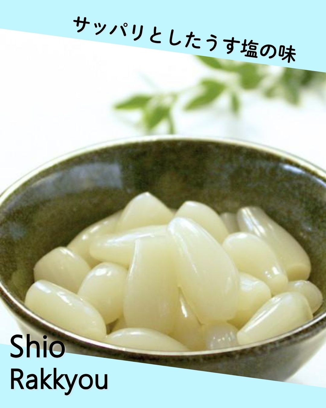 霧島らっきょう塩