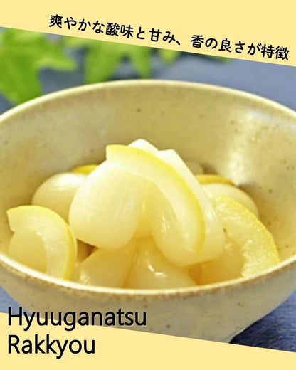 霧島らっきょう　日向夏みかん風味