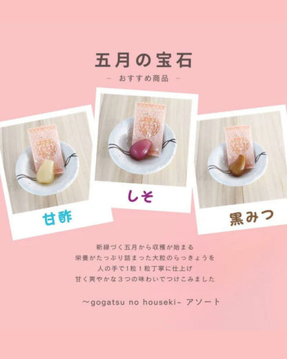 【送料当社負担】五月の宝石（アソート） 2袋セット