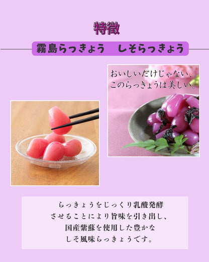 霧島らっきょう しそ風味