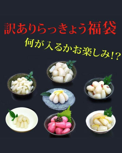 【送料当社負担】【訳アリ】おまかせ霧島らっきょう80g×5袋