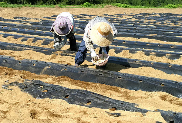 国産素材100％使用		
