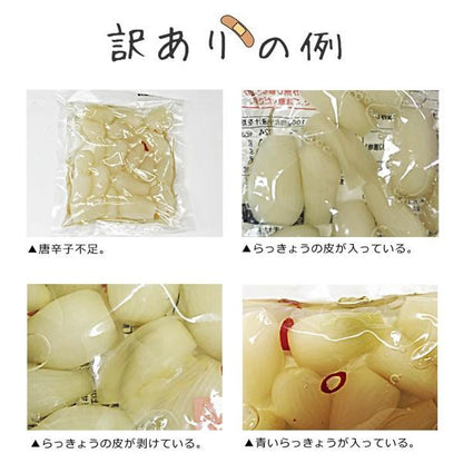 【送料当社負担】【訳アリ】おまかせ霧島らっきょう80g×5袋