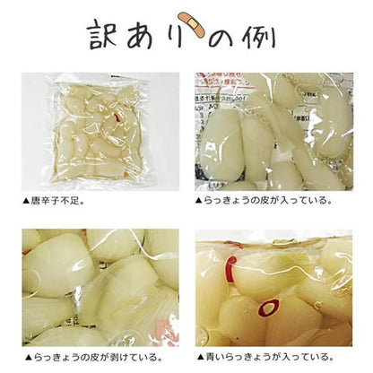 【送料当社負担】【訳アリ】甘酢らっきょう80g×5袋