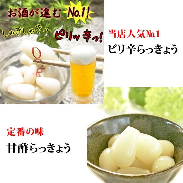 【送料当社負担】甘酢 80g×3枚 ピリ辛80g×2枚セット