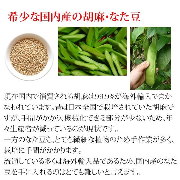 【送料当社負担】こだわり霧島本干し福神漬 6枚セット