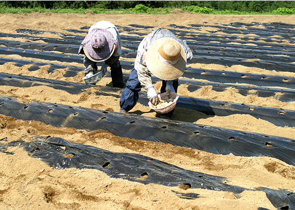 霧島荘園｜国産らっきょうと手作り漬物の通販サイト